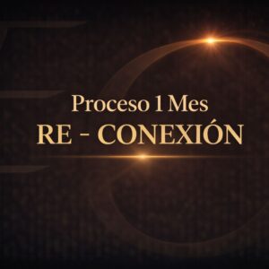 PROCESO 1 MES RE - CONEXIÓN